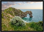 Morze, Wybrzeże Jurajskie, Rośliny, Skała, Łuk wapienny Durdle Door, Chmury, Hrabstwo Dorset, Anglia