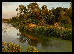 Jezioro, Prairie Rose Lake, Drzewa, Krzewy, Rośliny, Stan Iowa, Stany Zjednoczone