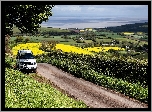 Land Rover Discovery, Droga, Niziny, Pola, Wieś