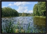 Lato, Rozlewisko, Jezioro