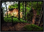 Niemcy, Wyspa Rugia, Park Narodowy Jasmund, Wzgórza Stubnitz, Las, Ścieżka, Schody
