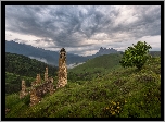 Góry, Kaukaz, Ruiny, Wieże obronne, Drzewa, Trawa, Kwiaty, Republika Inguszetii, Rosja