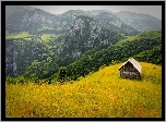 Rumunia, Góry, Lasy, Drewniana, Chatka