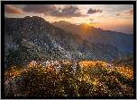 Góry Fogaraskie, Zachód słońca, Promienie słońca, Kamienie, Roślinność, Chmury, Rumunia