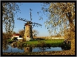 Wiatrak, Rzeczka, Drzewa