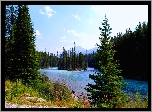 Rzeka, Las, Banff, Kanada