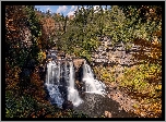 Skały, Wodospad, Blackwater Falls, Drzewa, Rośliny, Rzeka Blackwater, Wirginia, Stany Zjednoczone