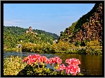 Zamek Reichsburg, Miasto Cochem, Niemcy, Rzeka Mozela, Góry, Lasy,  Pelargonie