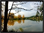 Rzeka, Drzewa, Góry, Lasy, Domy, Wiosna