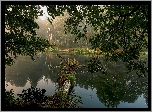 Rzeka, Drzewa