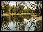 Rzeka, Park, Ławka, Drzewa, Odbicie