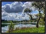 Rzeka, Chmury, Drzewa, Trawa