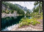 Rzeka, Góry, Drzewa, Odbicie
