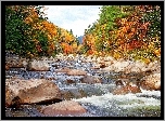 Rzeka, Kamienie, Drzewa, Jesień