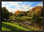 Rzeka, Park, Kolorowe, Drzewa, Jesień