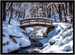 Zima, Las, Drzewa, Rzeka, Ośnieżony, Drewniany, Most