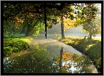 Drzewa, Rzeka, Park