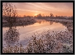 Rzeka, Zachód, Słońca, Drzewa, Szadź