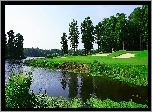 Rzeka, Lasy, Krzewy, Pola, Golfowe, Lato