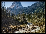 Góra, Wapta Mountain, Drzewa, Świerki, Rzeka, Park Narodowy Yoho, Kolumbia Brytyjska, Kanada