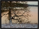 Rzeka, Drzewo, Góry, Zima