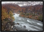 Rzeka Las Vueltas, Góry Andy, Las, Drzewa, Park Narodowy Los Glaciares, Patagonia, Argentyna