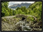 Rzeka, Mostek, Góry, Lasy