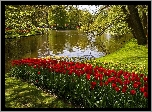 Tulipany, Rzeka, Park, Kaukenhof, W, Lisse, Wiosna, Holandia