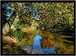 Jesień, Rzeka, Drzwa