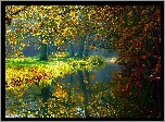 Jesień, Rzeka, Park