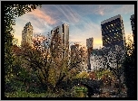 Wieżowce, Rzeka, Most, Cedntral, Park, Manhattan, Nowy, Jork