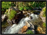 Rzeka, Kamienie