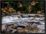 Rzeka, Kamienie