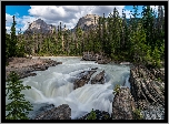 Park Narodowy Jasper, Las, Drzewa, Góry, Rzeka, Sunwapta River, Kamienie, Wodospad, Sunwapta Falls, Skały, Alberta, Kanada
