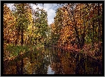 Jesień, Rzeka, Kolorowe, Drzewa, Park
