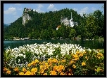 Rzeka, Zamki, Kwiaty, Drzewa