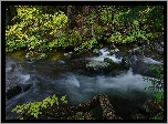 Las, Rzeka, Kamienie