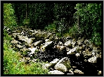 Las, Rzeka, Kamienie