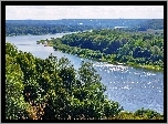 Las, Rzeka, Oka