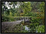 Las, Rzeka, Pomost