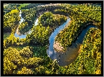 Rzeka, Lasy