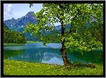 Rzeka, Góry, Lasy, Wiosna