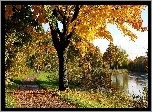 Rzeka, Droga, Liście, Jesień