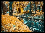 Rzeka, Park, Drzewa, Liście, Jesień
