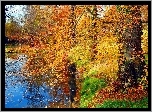 Rzeka, Park, Drzewa, Liście, Jesień