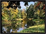 Rzeka, Park, Kolorowe, Drzewa, Liście, Jesień