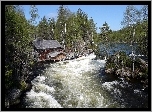 Rzeka, Zalesione, Brzegi, Domek, Oulanka, Finlandia
