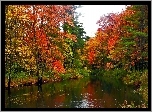 Rzeka, Kolorowe, Drzewa, Park, Jesień