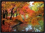 Rzeka, Kolorowe, Drzewa, Park, Jesień