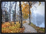 Park, Rzeka, Kaczki, Mgła, Ławki, Liście, Jesień